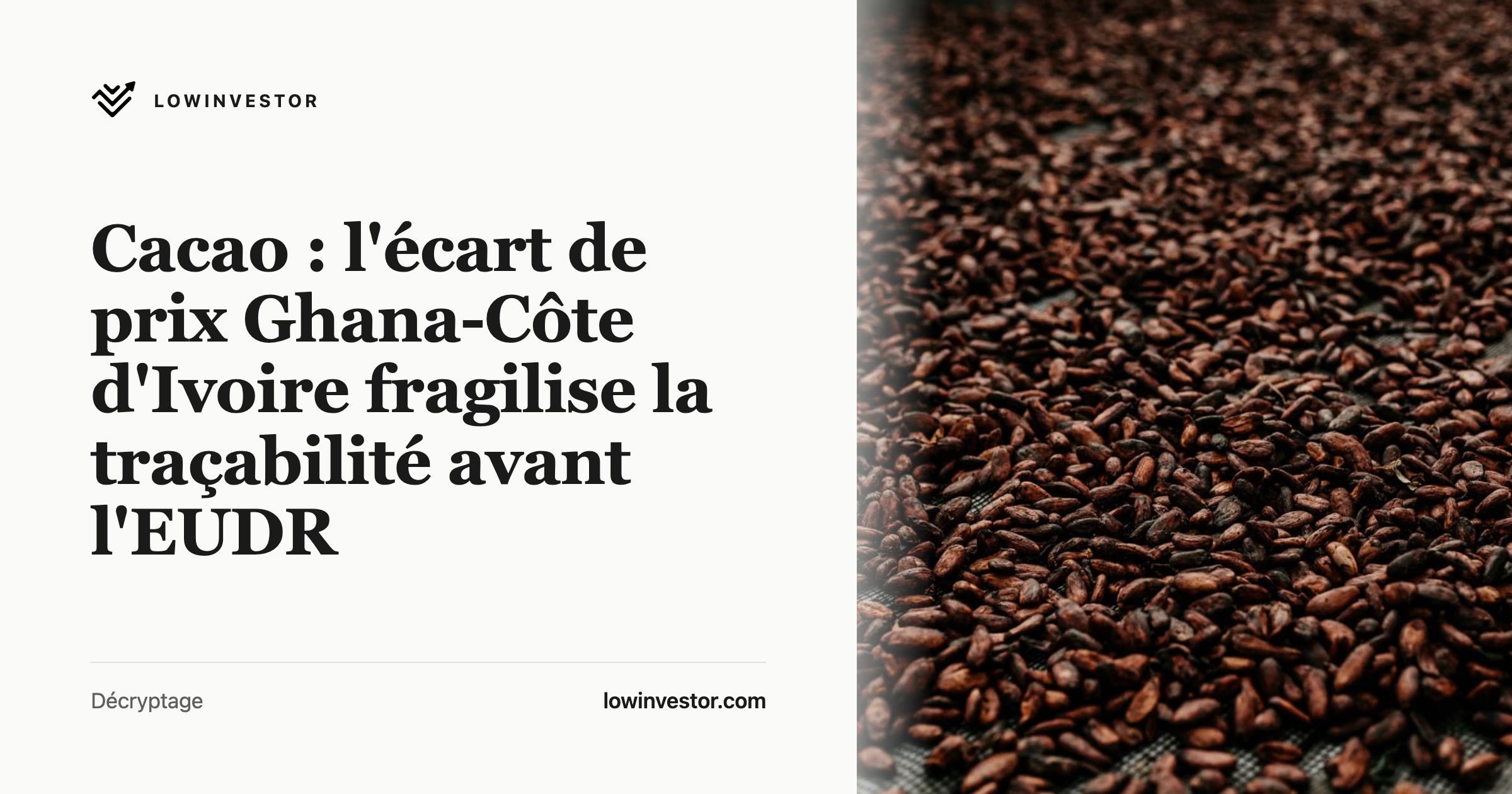 Cacao : l'écart de prix Ghana-Côte d'Ivoire fragilise la traçabilité avant l'EUDR