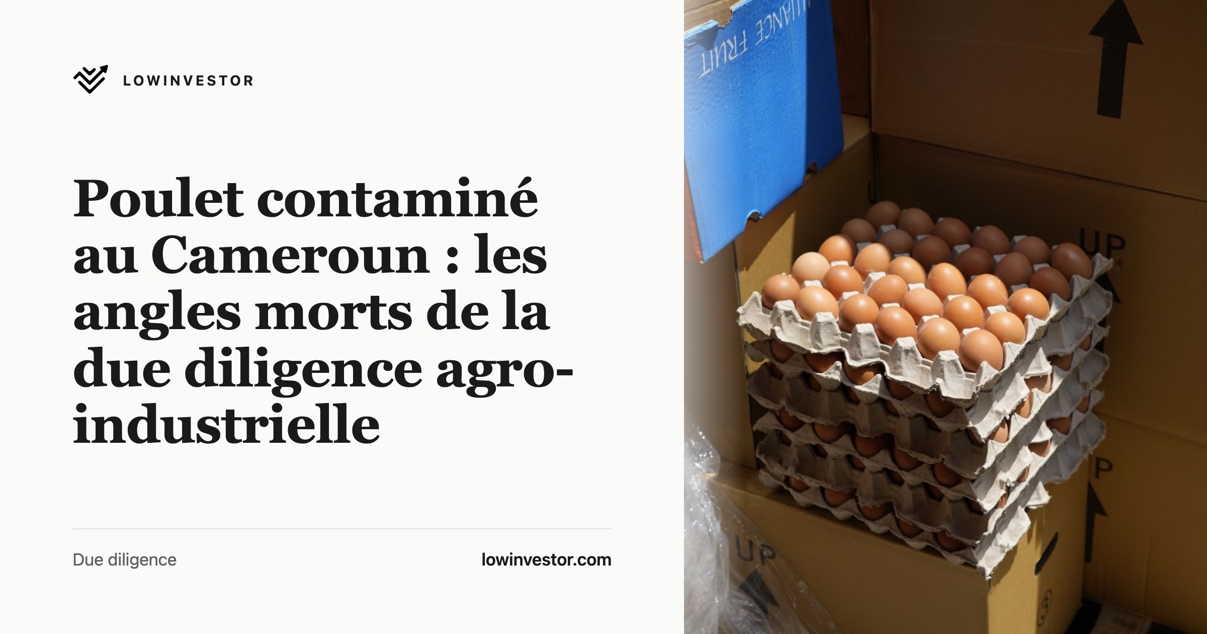 Poulet contaminé au Cameroun : les angles morts de la due diligence agro-industrielle