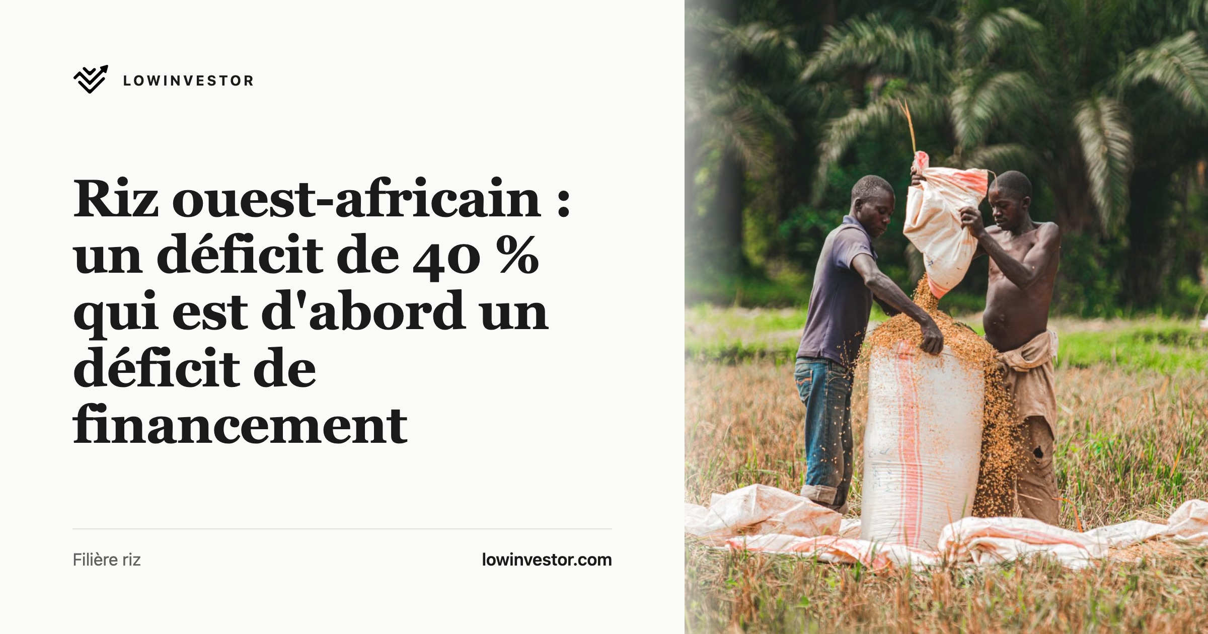 Riz ouest-africain : un déficit de 40 % qui est d'abord un déficit de financement